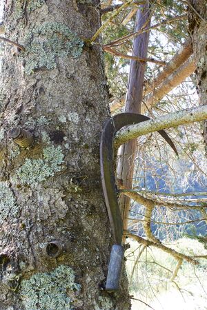 BH plank-2008-2021-07-24.jpg