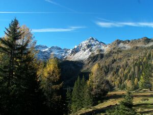 Duisitzkar 19098 2006-10-31.jpg