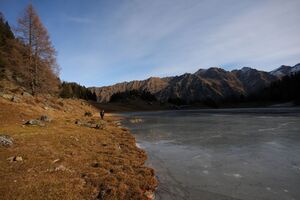 Duisitzkarsee 14307 2011-11-30.jpg
