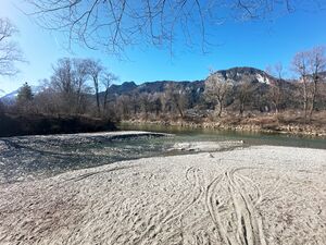 Mündung gulling-enns-0034-2025-03-20.jpg