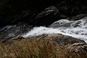 Säusenbach kleinsölk 73606 2014-10-03.jpg