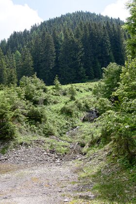 Schafweidgraben gnanitz-0154-2024-06-05.jpg