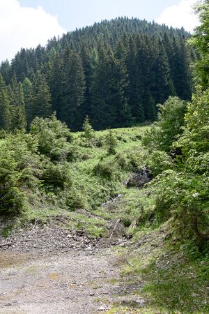 Schafweidgraben gnanitz-0154-2024-06-05.jpg