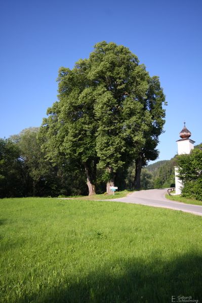 Datei:Schloss Gstatt 0062.jpg