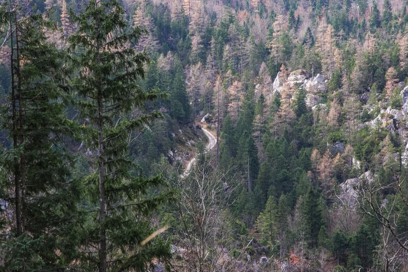 Datei:Steinfeld stummernalm-12-2014-11-15-2.jpg