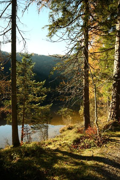 Datei:Ödensee 77960 2014-11-03.jpg