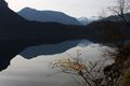 Altausseer See 78932 2014-11-15.jpg