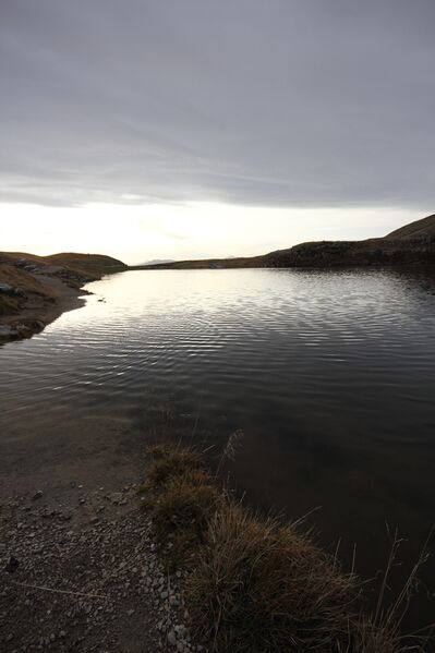 Datei:Augstsee loser 88727 2018-11-04.jpg