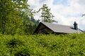 Bergbauernalm Palfau-0641-2025-06-24.jpg