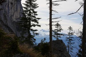 Dachstein oberwasseralm 79283 2014-11-15.jpg