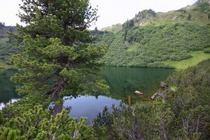 Finsterkarsee 1201 13-07-12.jpg