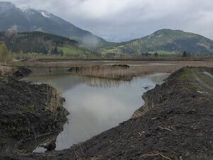 Frauenberger Torfstich70281.JPG