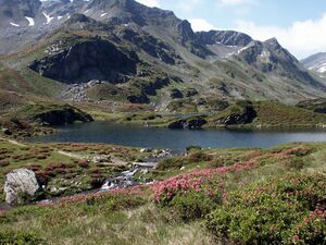 Giglachsee 0059 2002-06-30.jpg
