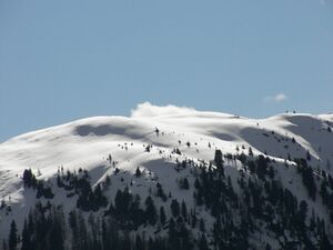 Guschen planai 0805 2006-04-02.jpg