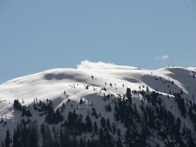 Datei:Guschen planai 0805 2006-04-02.jpg