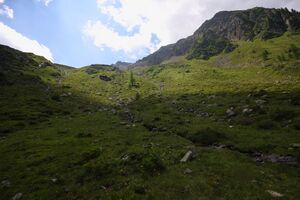 Herzmaierkar 32590 2011-07-06.jpg