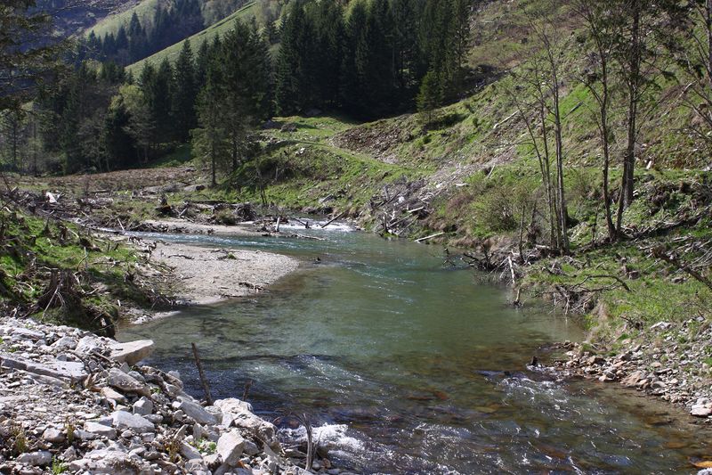 Datei:Kleinsölker Obertal 54789 2014-04-30.jpg