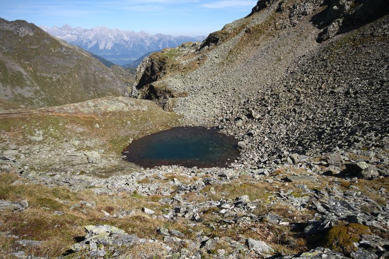 Datei:Nördliche krukecklacke 01686 2015-09-13.jpg