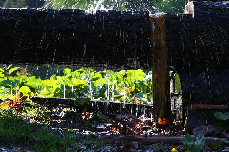 Datei:Neualm obertal 0657 2008-06-01.jpg