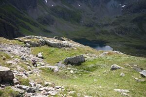 Oberer lanschitzsee 98165 2011-08-12.jpg