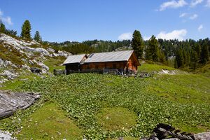Plankenalm-3010214-2022-06-12 - Kopie.jpg
