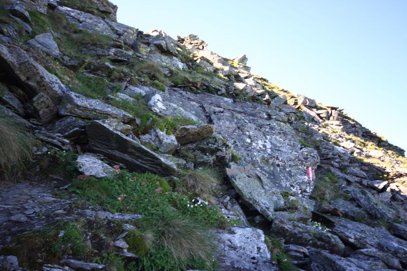 Datei:Spateck 94984 2015-07-11.jpg