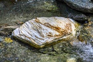 Walchenbach 99835 2015-06-07.jpg