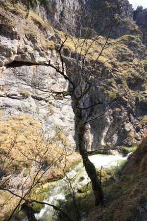 Wasserlochklamm palfau 70327 2018-04-23.jpg
