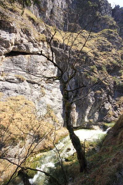 Datei:Wasserlochklamm palfau 70327 2018-04-23.jpg