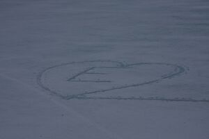 Duisitzkarsee 4444 2010-03-25.jpg