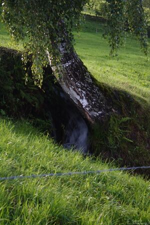 Finsterlhofrohrmoos 1568.jpg