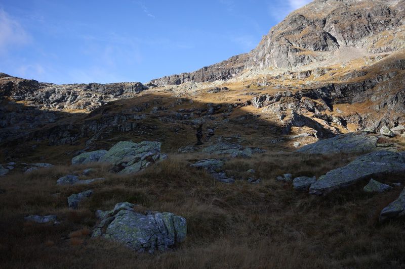 Datei:Goldlacken 0194 2013-10-08.jpg