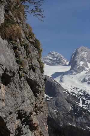 Gr.gosaugletscher -v.gosausee 80489 2018-04-25.jpg