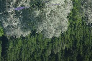 Huberteich 58706 2014-05-26.jpg