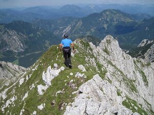 Kreuzmauergrat 6161.JPG