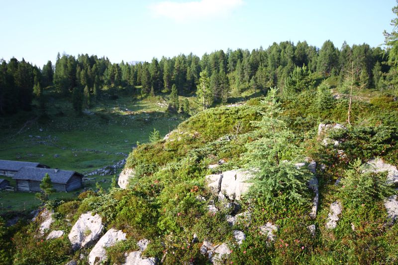 Datei:Neubergalm-kemetgebirge 97026 2015-07-16.jpg