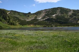 Plannersee 65279 2014-06-26.jpg