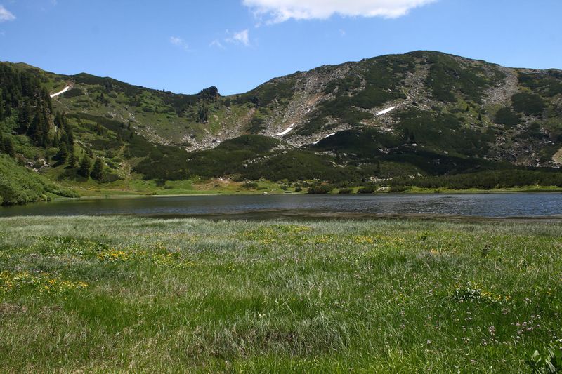 Datei:Plannersee 65279 2014-06-26.jpg