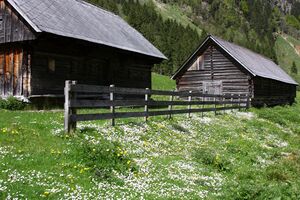 Sacherseealm kleinsölk 57089 2014-05-10.jpg