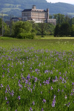Schloss trautenfels 58260 2014-05-21.jpg
