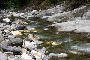 Walchenbach 99842 2015-06-07.jpg