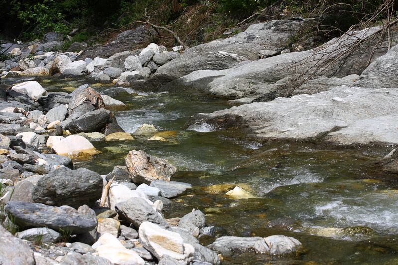 Datei:Walchenbach 99842 2015-06-07.jpg