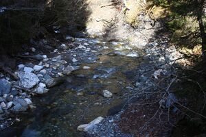 Walchental 43590 2014-02-26.jpg