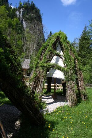 Weidendom gesäuse 56975 2014-05-05.jpg