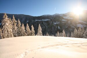 Zur ob.moseralm-preunegg 94324 2007-11-28.jpg