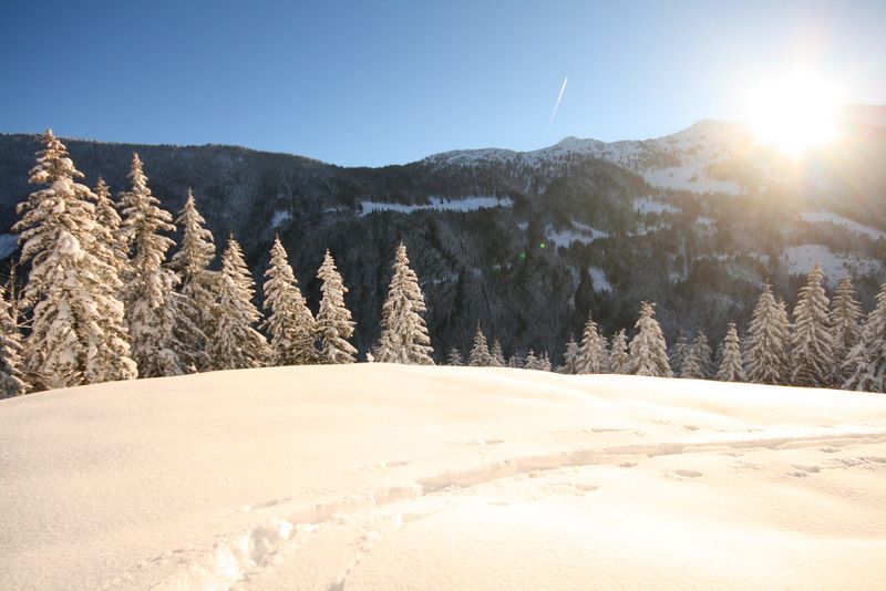 Datei:Zur ob.moseralm-preunegg 94324 2007-11-28.jpg