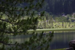 Bodensee seewigtal 63444 2014-06-21.jpg