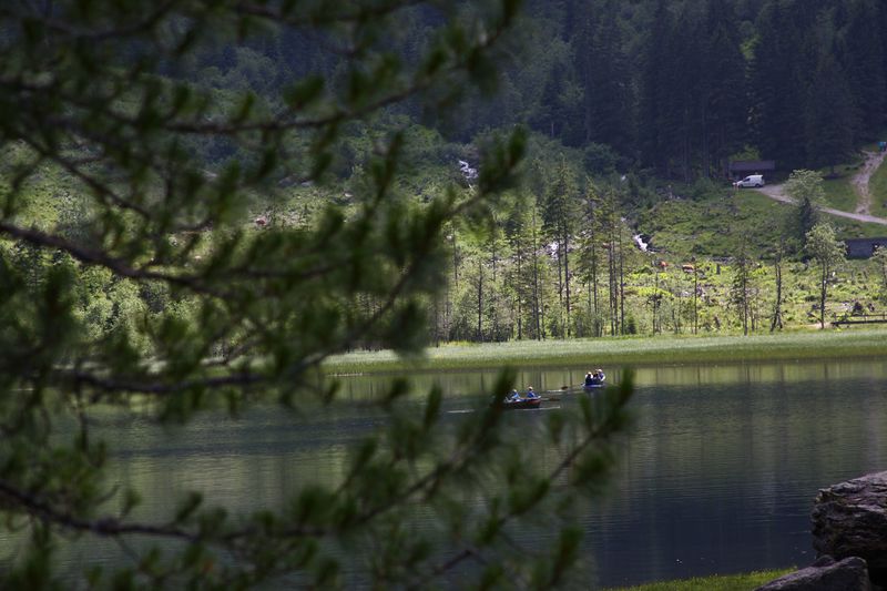 Datei:Bodensee seewigtal 63444 2014-06-21.jpg
