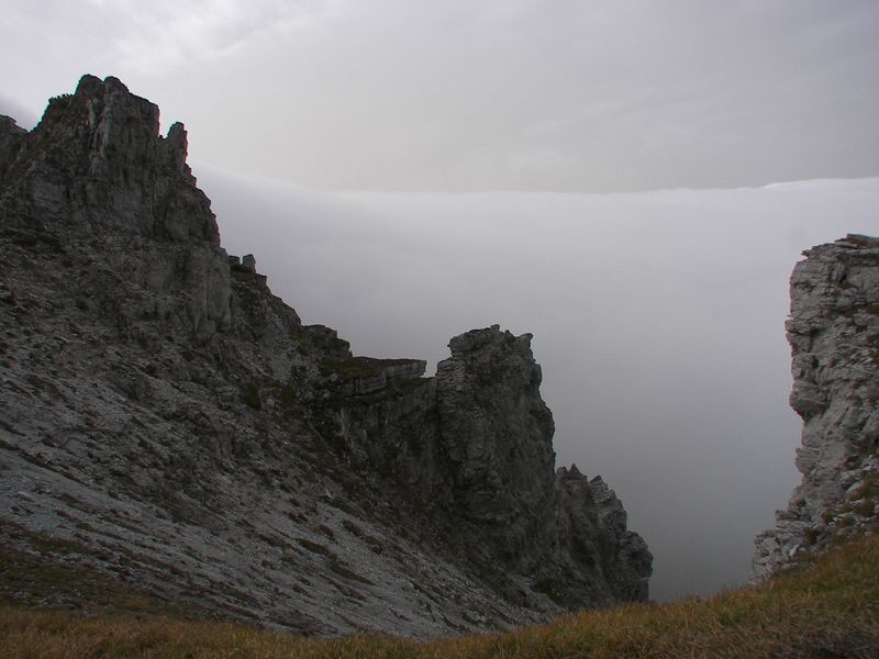 Datei:Brotrinnl 18504 2006-09-25.jpg