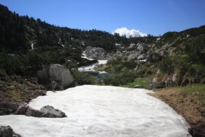 Dreibrüdersee 77413 2018-06-04.jpg